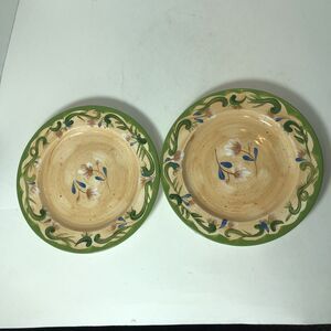 Pfaltzgraff Plates Lot‎ of 2 Tuscany Floral 8.25" Salad Dessert Bread Lunch B4